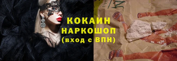 индика Зерноград