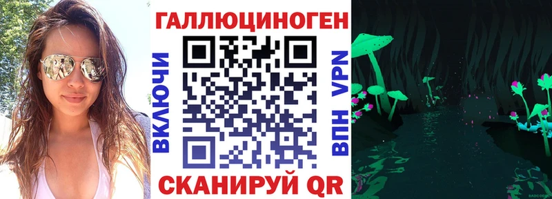 Псилоцибиновые грибы Psilocybine cubensis  Купить где  Хадыженск 